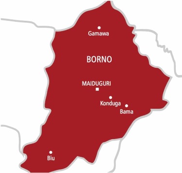 Borno elders: We are victims of genocide, not its perpetrators.