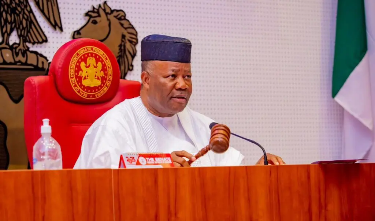 The Senate authorizes the establishment of a ranger service to combat illicit mining.