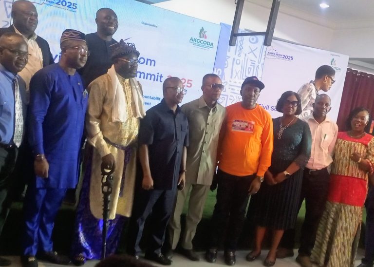 CSOs are tasked with developing a domestic funding model.