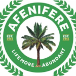 Afenifere to Southwest leaders: Put governance before party loyalty.