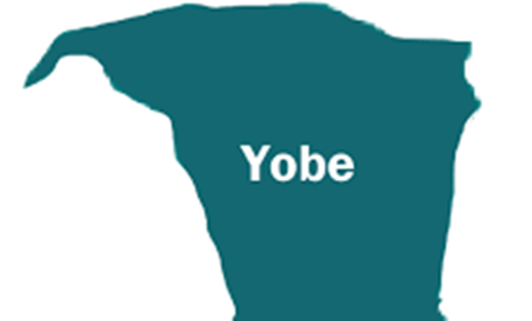 WFP, Care Nigeria, and the German government will empower 6,389 Yobe households.
