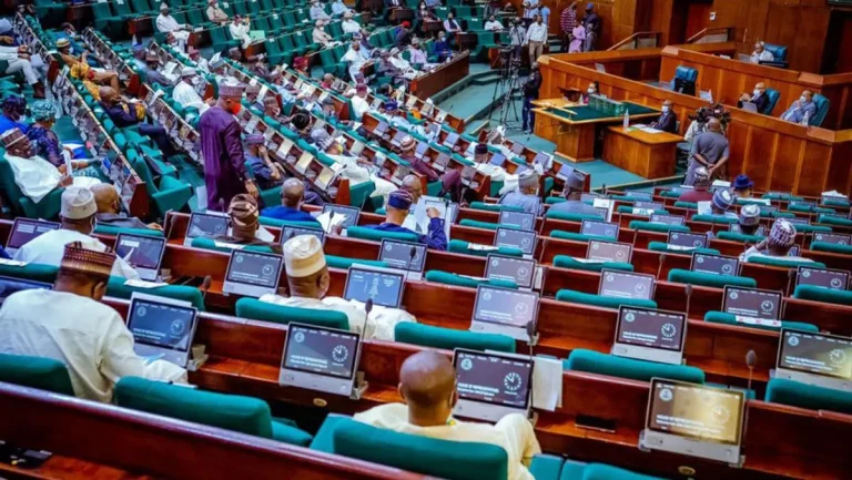 Representatives Investigate N12 Trillion in Funding from Development Finance Institutions