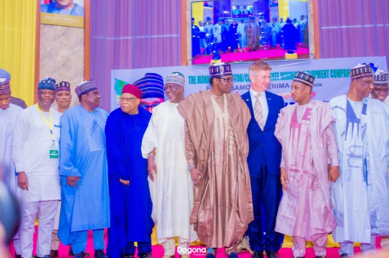 Yobe Uses Mining to Focus on Industrialization and Jobs