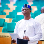 Reps member, Ogewu, denies referring to youths as fools.