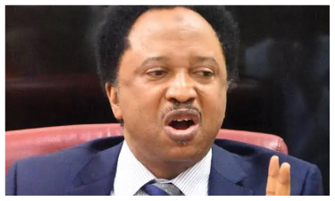 Shehu Sani on why Igbos in the North refuse to go back home: “Stop wasting your time.”