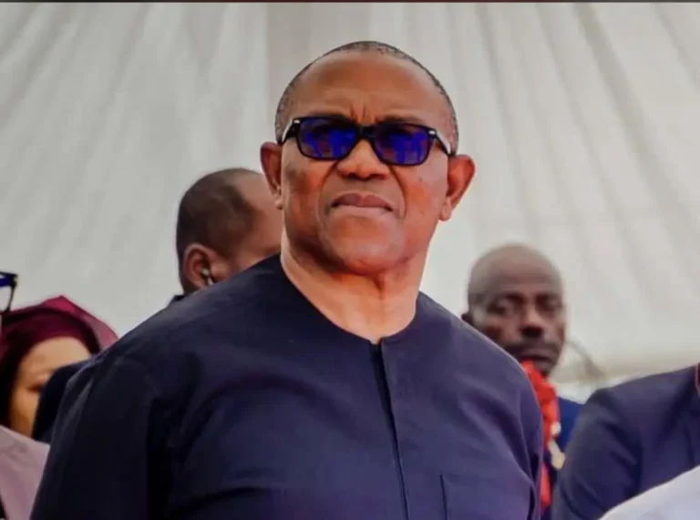 Anambra election: Peter Obi was not on the ballot – Obedient Movement.