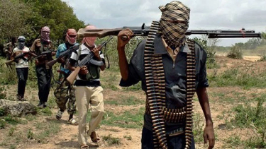 According to reports, bandits charge Katsina farmers N20 million.