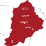 After seeing “men in black” around Borno Girls’ College, students run away.