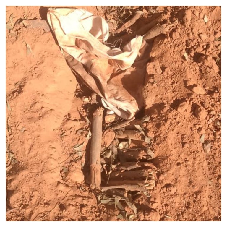 Yobe: Authorities bemoan the increase in grave desecration cases