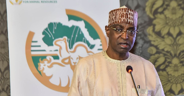 The Nigerian government reverses course and refutes outlawing open grazing.
