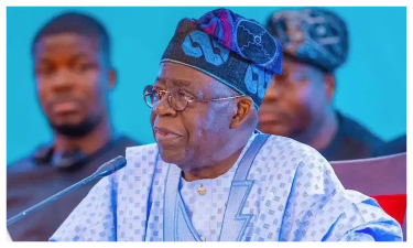 Why Tinubu will not oversee the EFCC and ICPC regarding Farouk Ahmed’s presidency