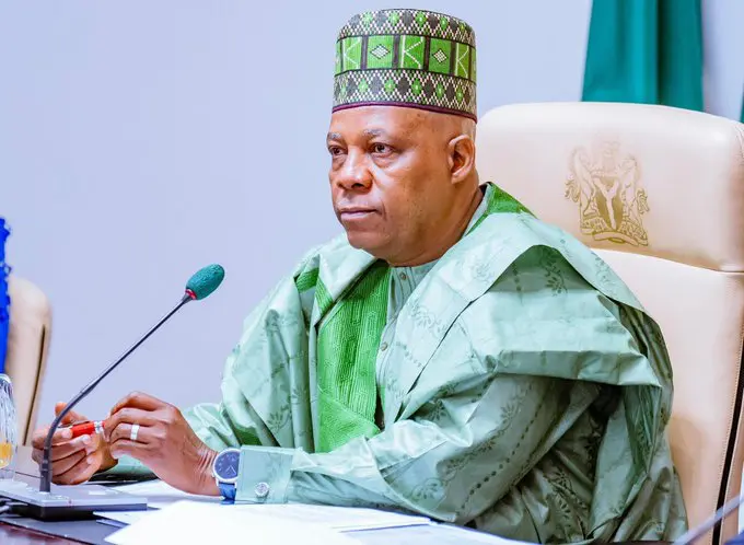 NDPHC @20: FG Will Continue Power Sector Reforms—Shettima