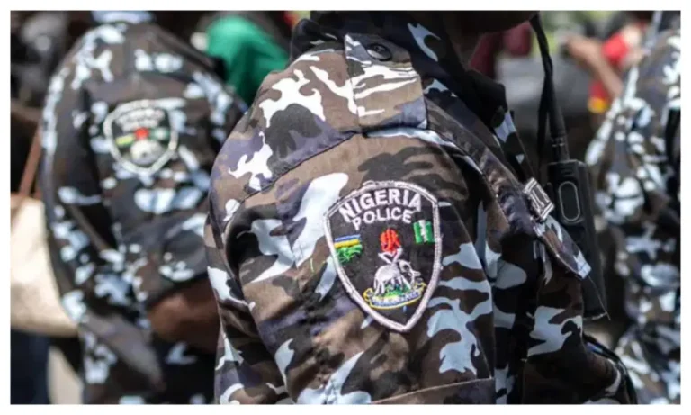 The Chief Judge expresses concern about the police orderlies’ withdrawal.