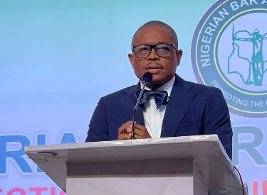 S visa ban: NBA President Osigwe says it’s unfair to punish innocent people