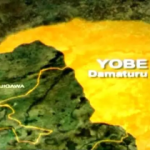 During the Yobe turbaning ceremony, a man was beaten to death.
