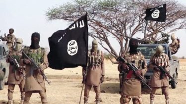 Airstrikes in Borno killed important Boko Haram commanders.
