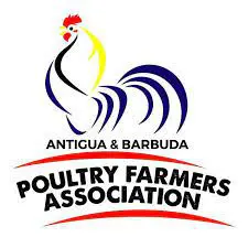 As the government courts Turkish investors, Katsina poultry farmers fear collapse.