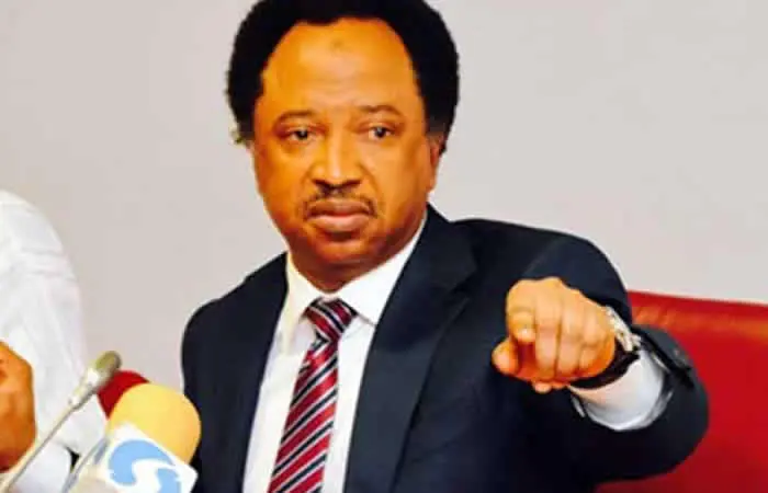 2027: Shehu Sani: Democracy Requires Opposition
