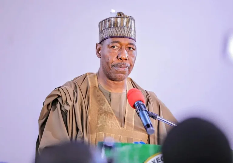 During Ramadan, 300,000 households receive food supplies from Zulum.