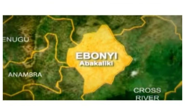 Ebonyi: The rise of two provosts at Federal College of Agriculture is causing a crisis.