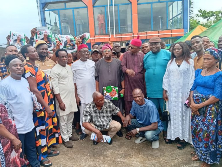 In Ebonyi, Henry Udeh becomes the chairman of the Labour Party.