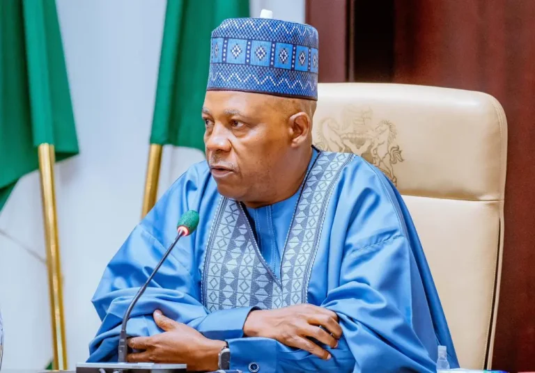 Politics2027: VP Shettima tells Nigerians, “Don’t pull down roof, desist from destructive politics.”