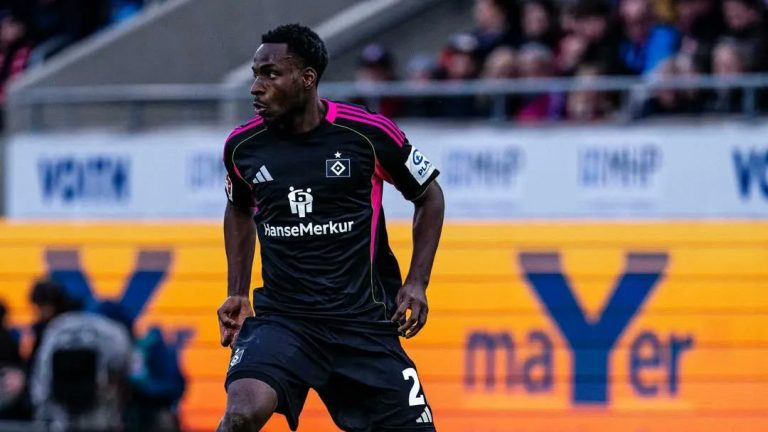 Bundesliga: A two-game suspension for a Super Eagles winger
