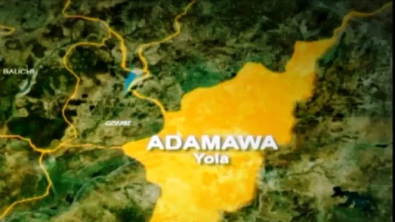 An unexploded bomb was discovered close to an Adamawa building site.