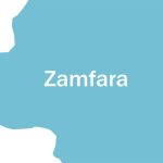Numerous bandits were slain in Zamfara amid growing worries about kidnappings.