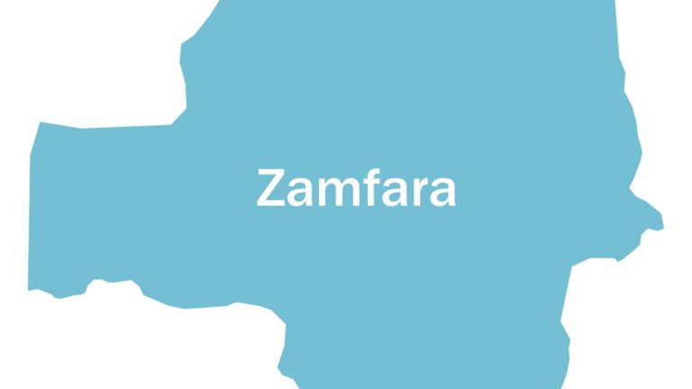 Numerous bandits were slain in Zamfara amid growing worries about kidnappings.