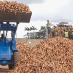 How to stop the yearly imports of 350 million litres of ethanol—Report