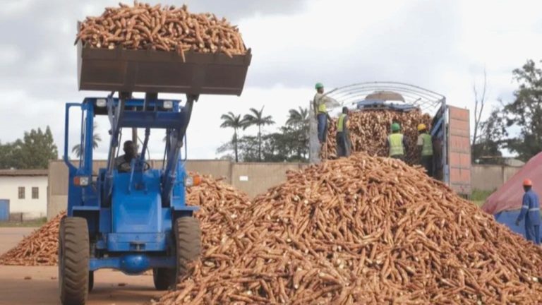 How to stop the yearly imports of 350 million litres of ethanol—Report