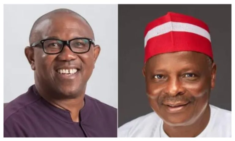 NDC: Umar Ardo criticises Peter Obi and Kwankwaso, saying, “I warned you the situation is bad.”