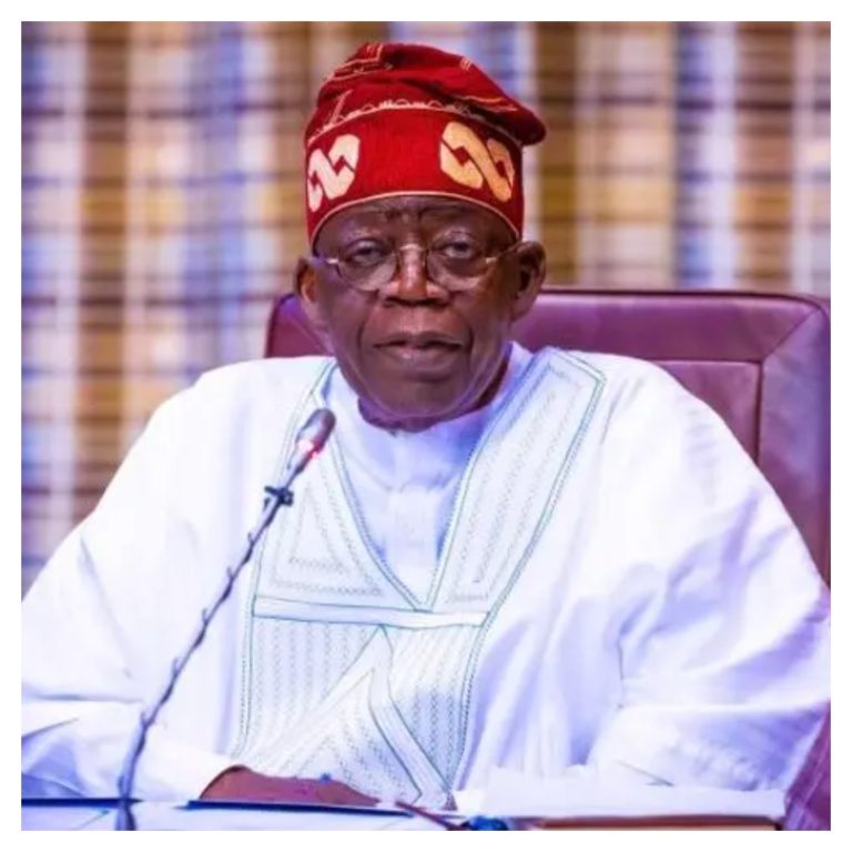 Tinubu: The French-Nigerian economic relationship is about to reach the “execution phase.”