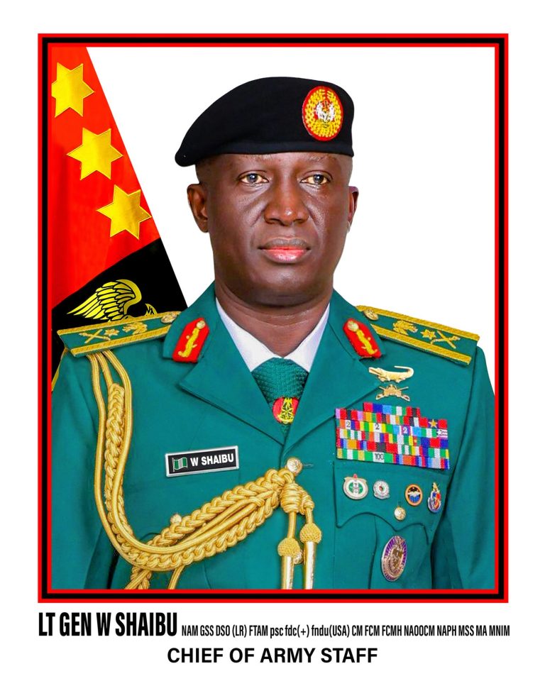 COAS reiterates the Nigerian Army’s commitment to combating banditry and terrorism