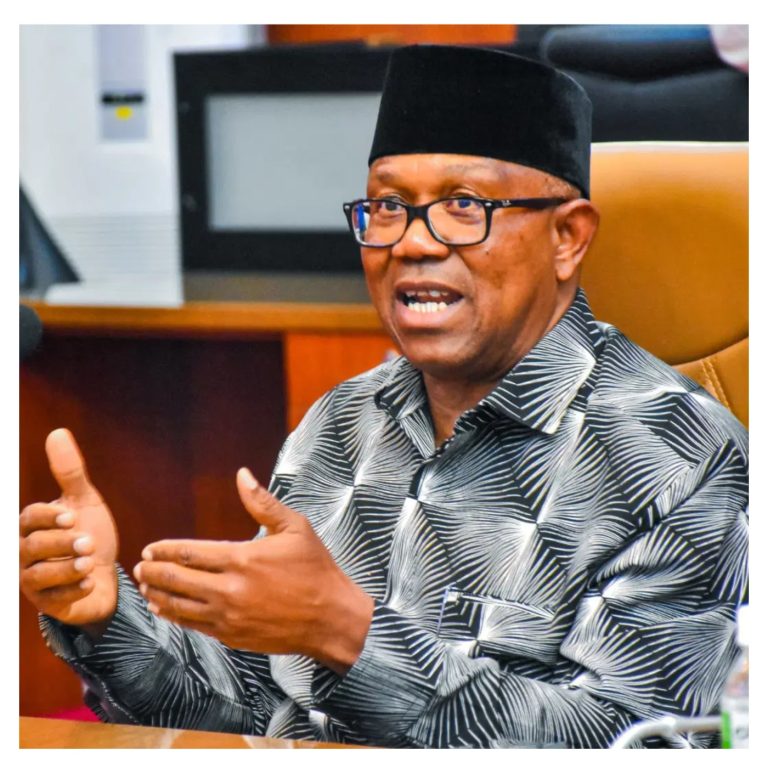 2027: Peter Obi: If anyone can show that I stole money from the Labour Party, I’ll quit running for office.